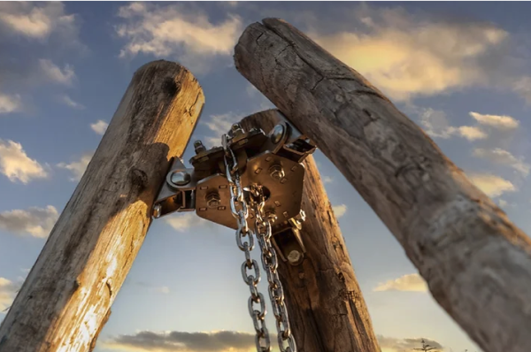 Dreibein Hängegrill-Stativ aus rustikalem Kastanienholz - 250 cm